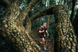 BIB: 
                            <button type="button" onclick="openModal(25394299)" class="btn btn-primary btn-sm float-right btn-popup" data-toggle="modal" data-target=".modal-high-quality">
                        <i class="fas fa-shopping-cart"></i> Add to Cart
                    </button>
                                            <button type="button" onclick="isThisMe(25394299, true)" class="btn btn-success btn-sm float-right btn-popup btn-isme hidden" data-toggle="tooltip" data-placement="bottom" title="นี่คือรูปของคุณใช่ไหม คลิกที่นี่เพื่อเอาเข้าอัลบั้ม">
                        <i class="fas fa-plus"></i> Add to album
                    </button>
                    <button type="button" onclick="isThisMe(25394299, false)" class="btn btn-warning btn-sm float-right btn-popup btn-isnotme hidden">
                        <i class="fas fa-ban"></i> Remove from album
                    </button>